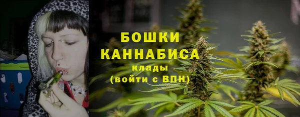 марки nbome Горняк