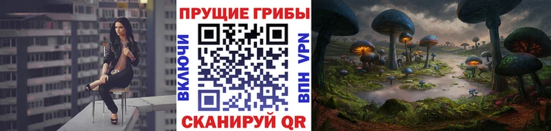 Псилоцибиновые грибы Psilocybe  сколько стоит  Печора 